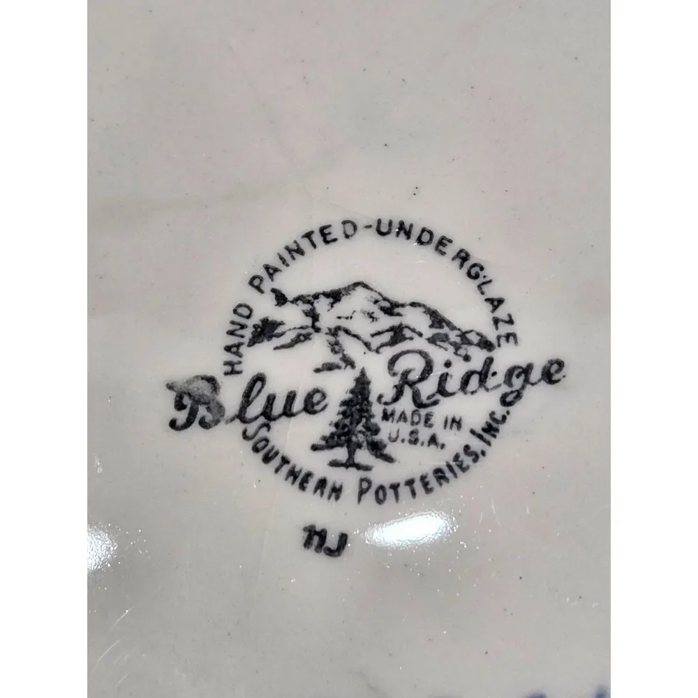 Vintage Blue Ridge Pottery Hand Painted Orchid Vegetable Bowl 8.5 Inch